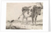 Cow standing in pasture by Johannes Christiaan Janson