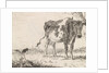Cow standing in pasture by Johannes Christiaan Janson