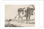 Cow standing in pasture by Johannes Christiaan Janson