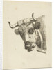 Head of a cow by Jan Kobell III