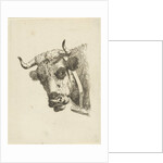 Head of a cow by Jan Kobell III