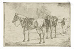 Two saddled horses at an army camp by Dirk Langendijk