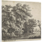 Wooded Island by Anthonie Waterloo