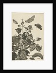 Wild rose with caterpillars and butterflies by Johannes Sluyter