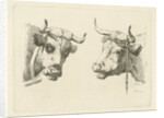 Two cows heads by Pieter Roosing