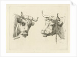 Two cows heads by Pieter Roosing