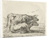 Two cows by Aelbert Cuyp