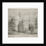 Rocky Landscape with conifers, called Teufelkanzel by Willem Matthias Jan van Dielen