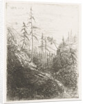 Mountain landscape with pine trees and brook by Willem Matthias Jan van Dielen
