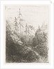 Mountain landscape with pine trees and brook by Willem Matthias Jan van Dielen