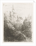 Mountain landscape with pine trees and brook by Willem Matthias Jan van Dielen