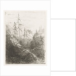 Mountain landscape with pine trees and brook by Willem Matthias Jan van Dielen