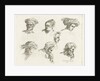 Study Sheet with six heads in two rows above the other by D. van den Bosch