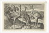 Crowned Crane between two ostriches by Claes Jansz. Visscher II