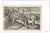 Crowned Crane between two ostriches by Claes Jansz. Visscher II