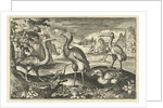 Five birds including spoonbill by Claes Jansz. Visscher II