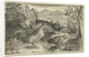 Three hens and two roosters by Claes Jansz. Visscher II