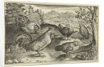 Three hens and two roosters by Claes Jansz. Visscher II