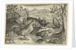 Three hens and two roosters by Claes Jansz. Visscher II