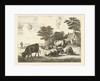 Cows and sheep lying in meadow for farm by Johannes van Cuylenburgh