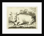 Lying cow by Johannes van Cuylenburgh
