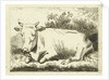 Lying cow by Johannes van Cuylenburgh