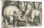 Two elephants by Assuerus van Londerseel