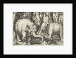 Two elephants by Assuerus van Londerseel