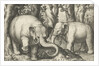 Two elephants by Assuerus van Londerseel