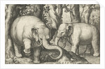 Two elephants by Assuerus van Londerseel