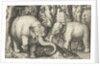 Two elephants by Assuerus van Londerseel