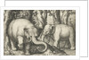 Two elephants by Assuerus van Londerseel