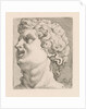 Head of one of the sons of Laocoön, side view by Augustinus Terwesten I