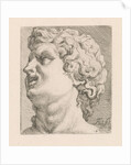 Head of one of the sons of Laocoön, side view by Augustinus Terwesten I