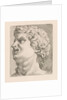 Head of one of the sons of Laocoön, side view by Augustinus Terwesten I