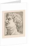 Head of one of the sons of Laocoön, side view by Augustinus Terwesten I