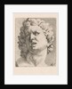 Head of one of the sons of Laocoön, front view by Augustinus Terwesten I