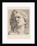 Head of one of the sons of Laocoön, front view by Augustinus Terwesten I