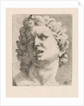 Head of one of the sons of Laocoön, front view by Augustinus Terwesten I
