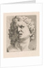 Head of one of the sons of Laocoön, front view by Augustinus Terwesten I