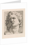 Head of one of the sons of Laocoön, front view by Augustinus Terwesten I