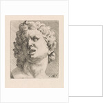 Head of one of the sons of Laocoön, front view by Augustinus Terwesten I