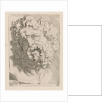 Head of Laocoön by Augustinus Terwesten I