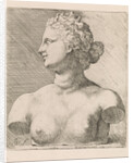 Bust of Venus de 'Medici, in profile to the left by Augustinus Terwesten I