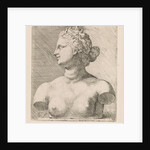 Bust of Venus de 'Medici, in profile to the left by Augustinus Terwesten I