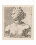 Bust of Venus de 'Medici, in profile to the left by Augustinus Terwesten I
