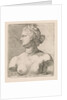 Bust of Venus de 'Medici, in profile to the left by Augustinus Terwesten I