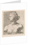 Bust of Venus de 'Medici, in profile to the left by Augustinus Terwesten I