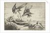Two falcons attack a heron by Peeter Boel