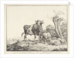 Taurus and sheep by Evert Maaskamp